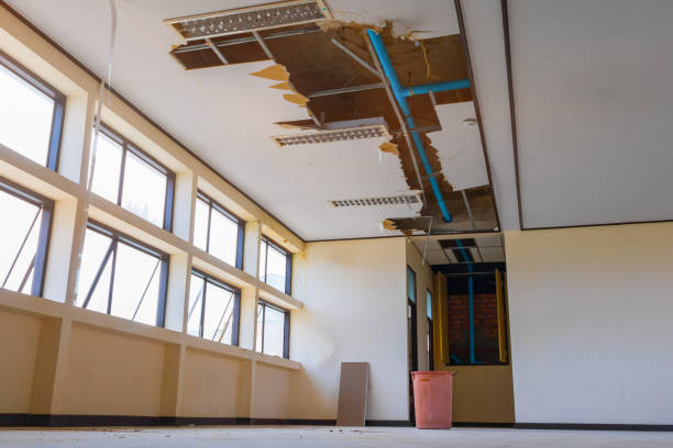 Best Local water damage restoration  in Grape Creek, TX