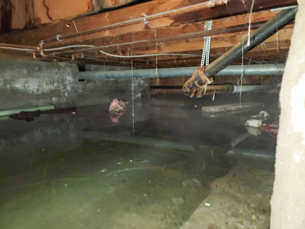 Best Fire Damage Restoration  in Grape Creek, TX