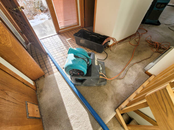 Best Water damage restoration near me  in Grape Creek, TX