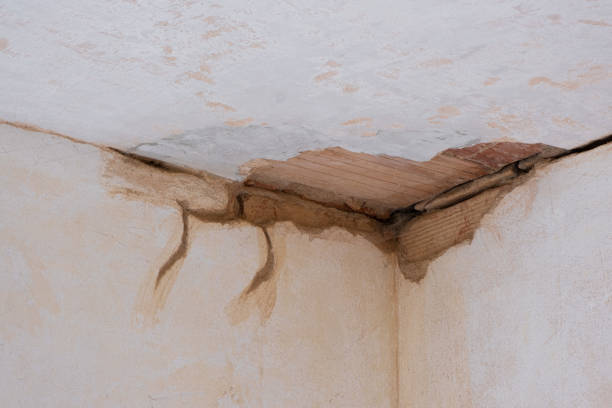 Best Water damage restoration near me  in Grape Creek, TX