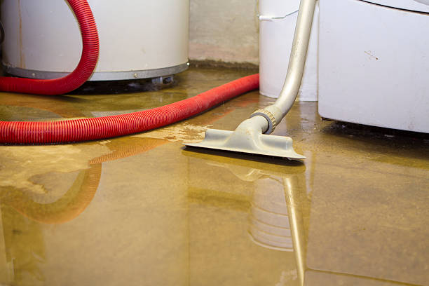 Best Emergency water extraction  in Grape Creek, TX