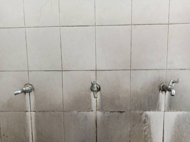 Best Mold removal after water damage  in Grape Creek, TX